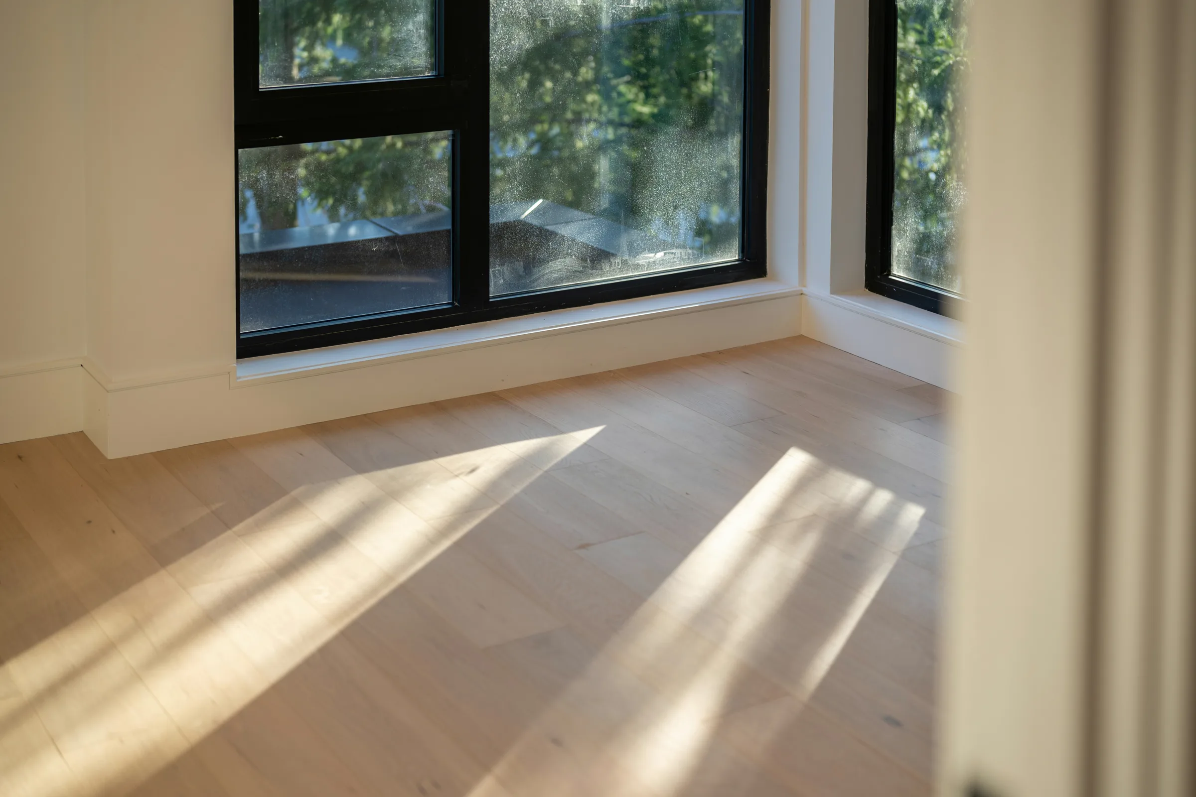 Wide oak plank flooring in an empty room, with low sunlight raking across the boards from black framed windows